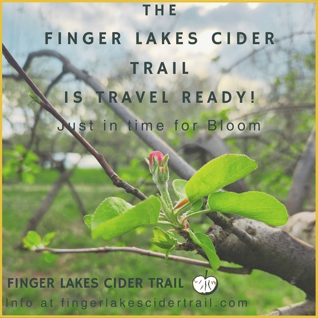 Cider Trail April Launch IG 1024 x 640